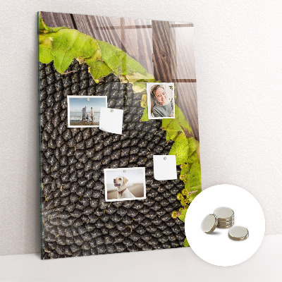 Tableau magnétique pour magnets graines de tournesol