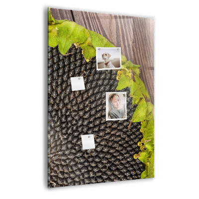 Tableau magnétique pour magnets graines de tournesol