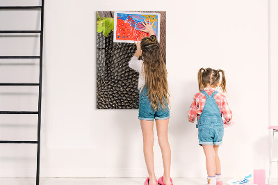 Tableau magnétique pour magnets graines de tournesol