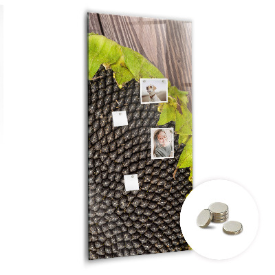 Tableau magnétique pour magnets graines de tournesol
