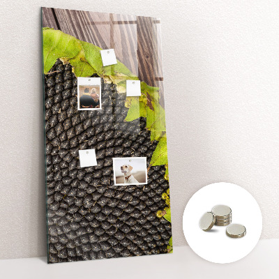 Tableau magnétique pour magnets graines de tournesol