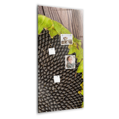 Tableau magnétique pour magnets graines de tournesol
