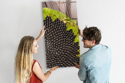 Tableau magnétique pour magnets graines de tournesol