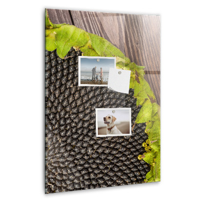 Tableau magnétique pour magnets graines de tournesol