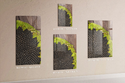 Tableau magnétique pour magnets graines de tournesol