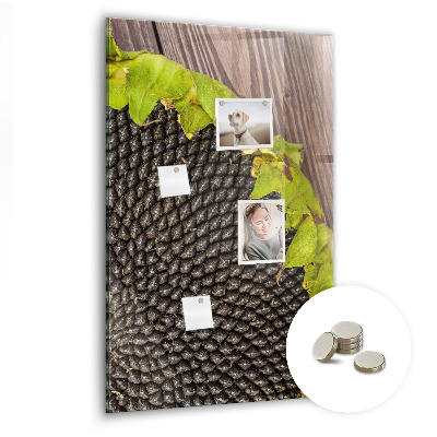 Tableau magnétique pour magnets graines de tournesol