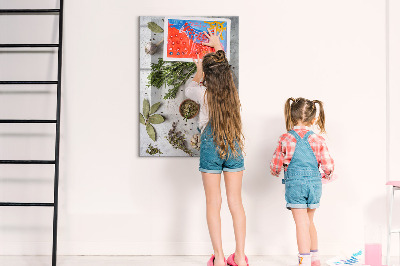 Tableau magnétique vertical herbes