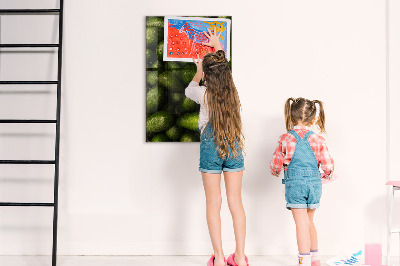 Tableau magnétique vertical avocat frais