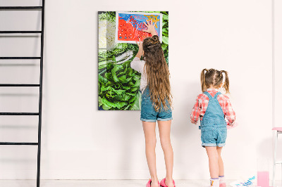Tableau magnétique pour magnets Laitue juteuse