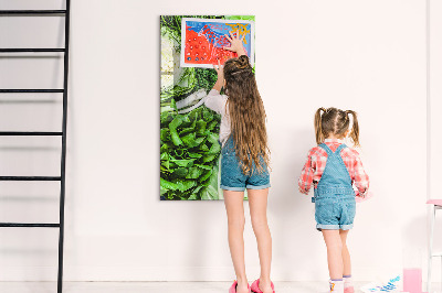 Tableau magnétique pour magnets Laitue juteuse