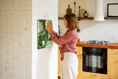 Tableau magnétique pour magnets Laitue juteuse