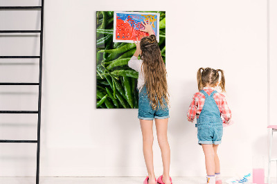 Tableau magnétique vertical Poivrons verts