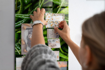 Tableau magnétique vertical Poivrons verts