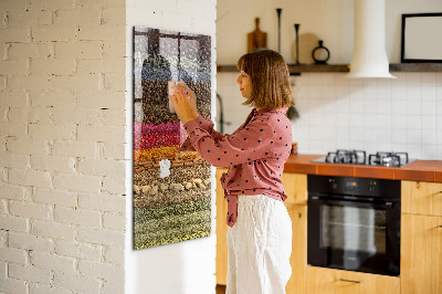 Tableau aimanté décoration Des rangées d'épices
