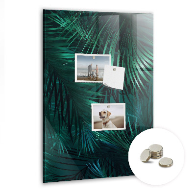 Tableau aimanté décoration Feuilles tropicales