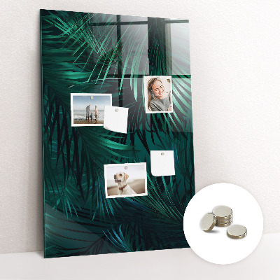 Tableau aimanté décoration Feuilles tropicales