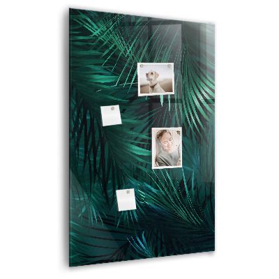 Tableau aimanté décoration Feuilles tropicales