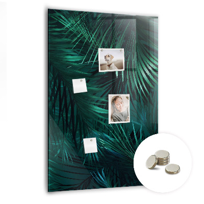 Tableau aimanté décoration Feuilles tropicales