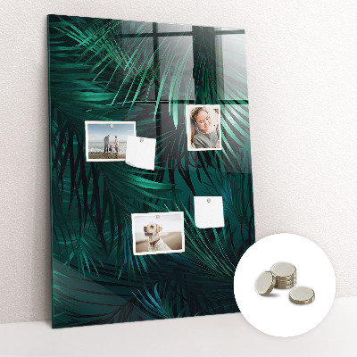 Tableau aimanté décoration Feuilles tropicales