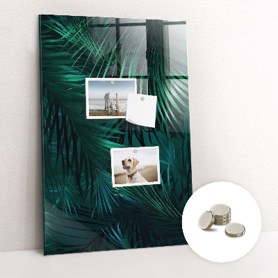 Tableau aimanté décoration Feuilles tropicales