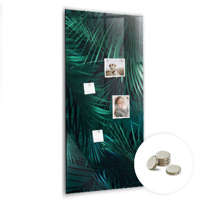 Tableau aimanté décoration Feuilles tropicales
