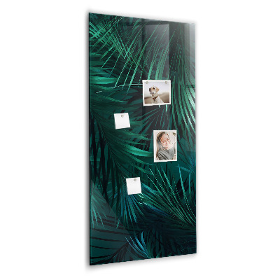 Tableau aimanté décoration Feuilles tropicales
