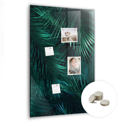 Tableau aimanté décoration Feuilles tropicales