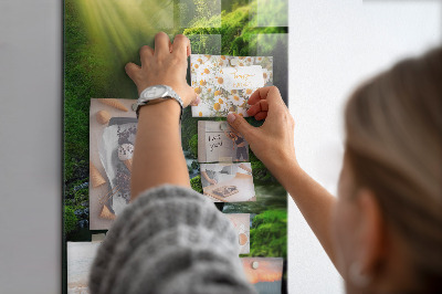 Tableau magnétique pour magnets Cascade avec rochers