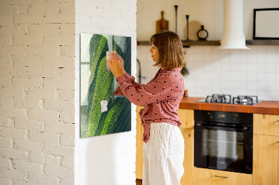 Tableau magnétique vertical Lignes paysage nature