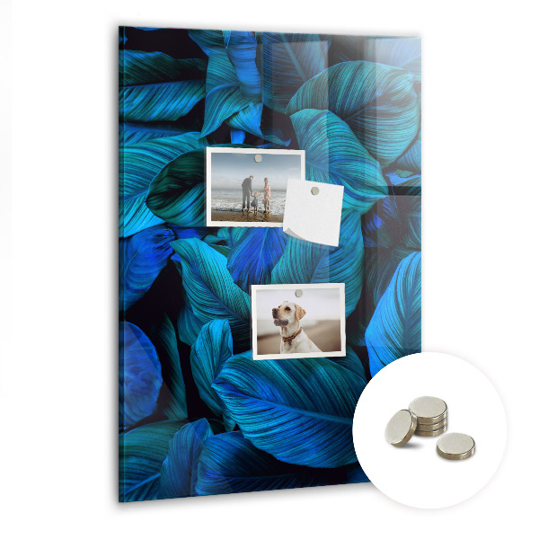Tableau aimanté décoration Feuilles exotiques