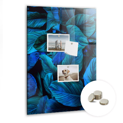 Tableau aimanté décoration Feuilles exotiques