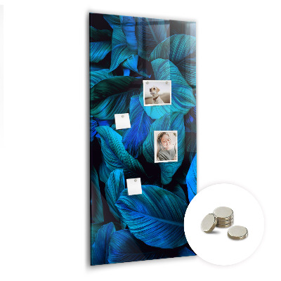 Tableau aimanté décoration Feuilles exotiques