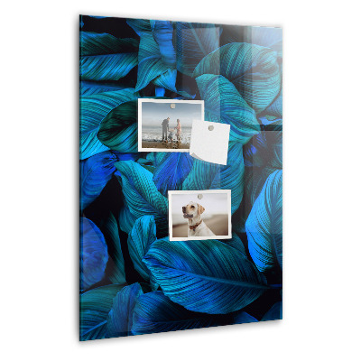 Tableau aimanté décoration Feuilles exotiques
