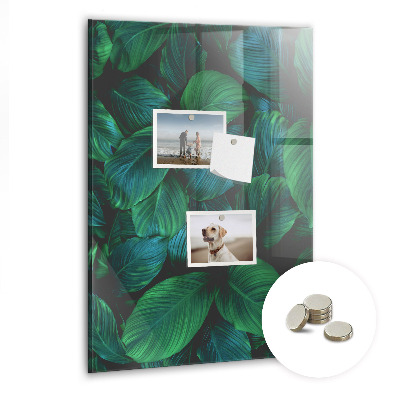 Tableau magnétique vertical Grandes feuilles tropicales