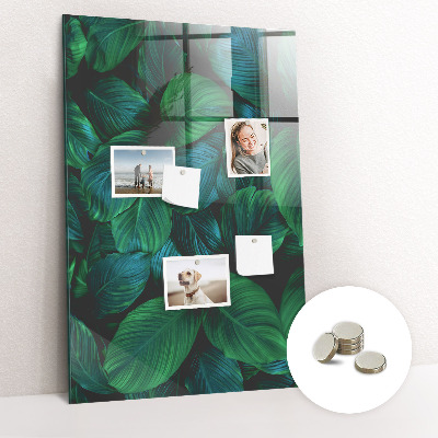Tableau magnétique vertical Grandes feuilles tropicales