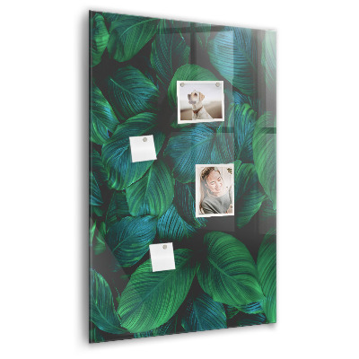 Tableau magnétique vertical Grandes feuilles tropicales