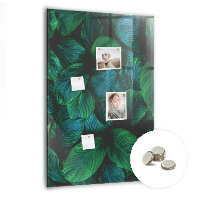 Tableau magnétique vertical Grandes feuilles tropicales