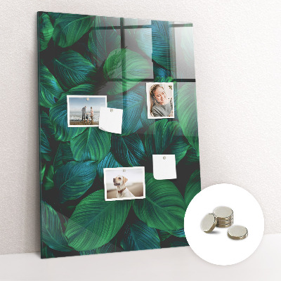 Tableau magnétique vertical Grandes feuilles tropicales