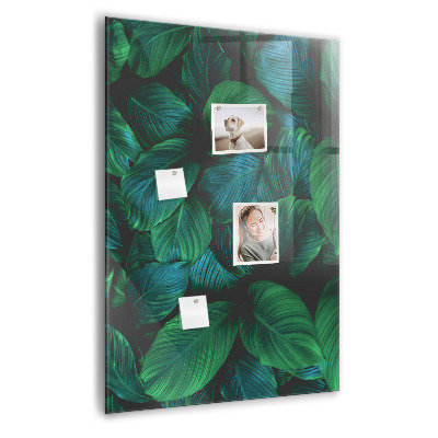 Tableau magnétique vertical Grandes feuilles tropicales