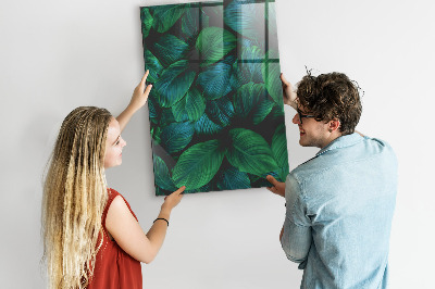 Tableau magnétique vertical Grandes feuilles tropicales