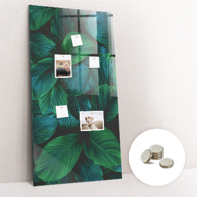 Tableau magnétique vertical Grandes feuilles tropicales