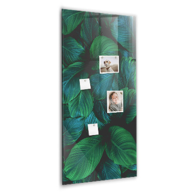 Tableau magnétique vertical Grandes feuilles tropicales
