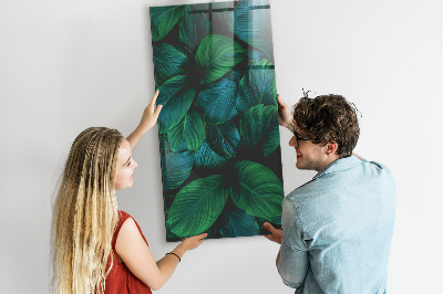 Tableau magnétique vertical Grandes feuilles tropicales