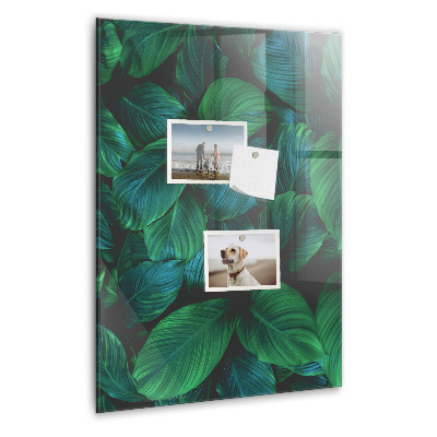 Tableau magnétique vertical Grandes feuilles tropicales