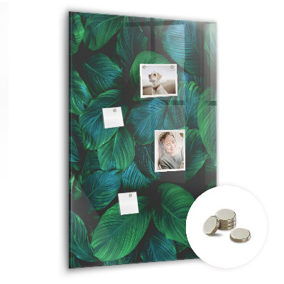 Tableau magnétique vertical Grandes feuilles tropicales