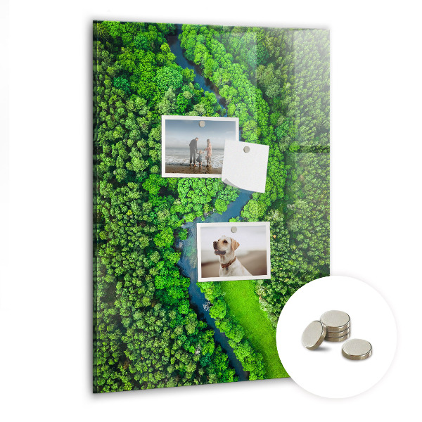 Tableau aimanté décoration Rivière dans la forêt