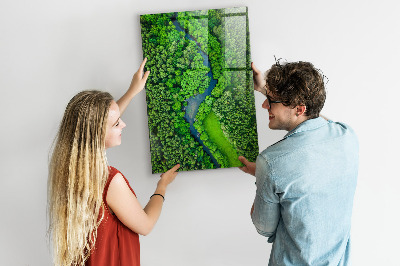 Tableau aimanté décoration Rivière dans la forêt