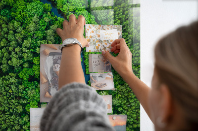 Tableau aimanté décoration Rivière dans la forêt