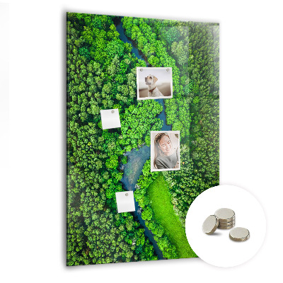 Tableau aimanté décoration Rivière dans la forêt