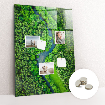 Tableau aimanté décoration Rivière dans la forêt